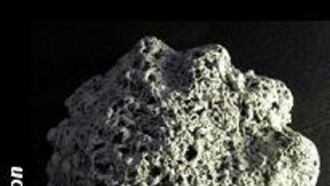 In Search of the Orang Pendek