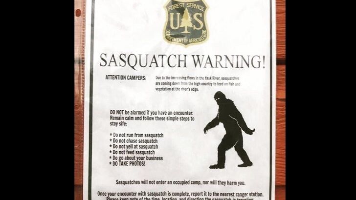 Forest Service Squashes Fake 'Sasquatch Warning'