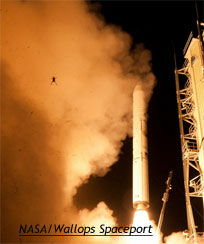 Frog Launches with Spacecraft