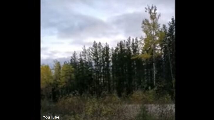 Video: Bigfoot Howl Recorded in Canada?