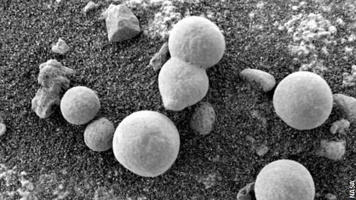 New Paper Argues for Fungi on Mars