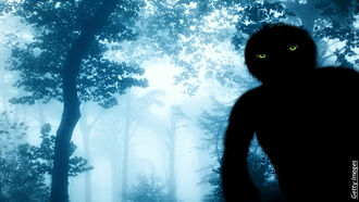 Rethinking Sustainable Development/ Bigfoot Sightings