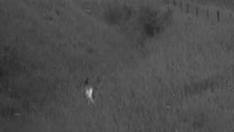 Video: Light Anomaly at Crop Circle Site