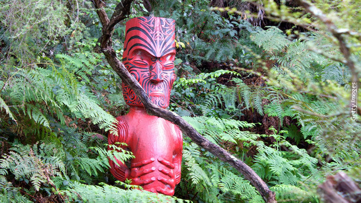 Alternative Health/ Maori Cosmology