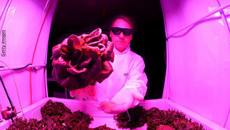 'Space Greenhouses' Under Development