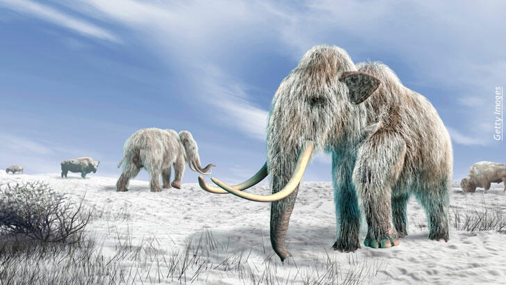 Reviving the Woolly Mammoth/ Ancient Explorers in America | Coast to ...