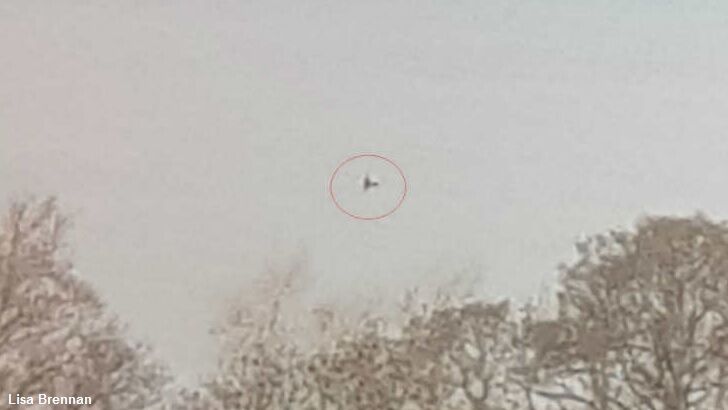Nessie Spotted Twice in Five Days