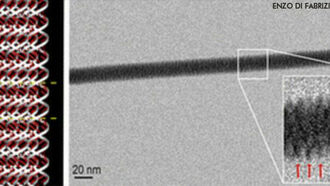 DNA Photographed for the First Time