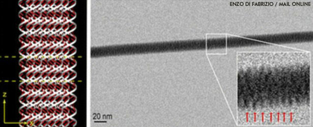 DNA Photographed for the First Time | Coast to Coast AM