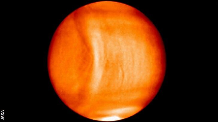 Massive Wave Spotted on Venus