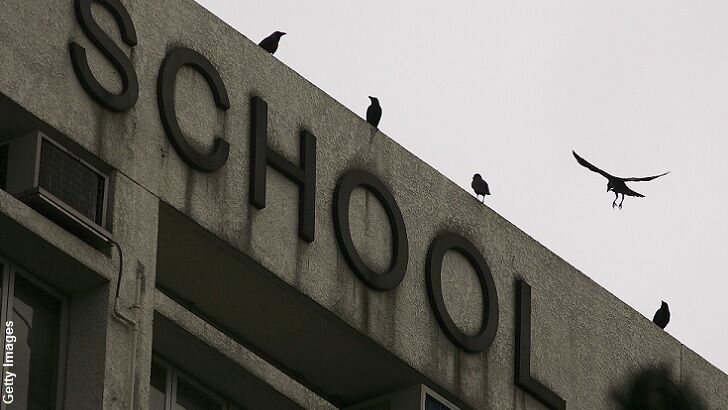 Crow Attacks Plague Irish College
