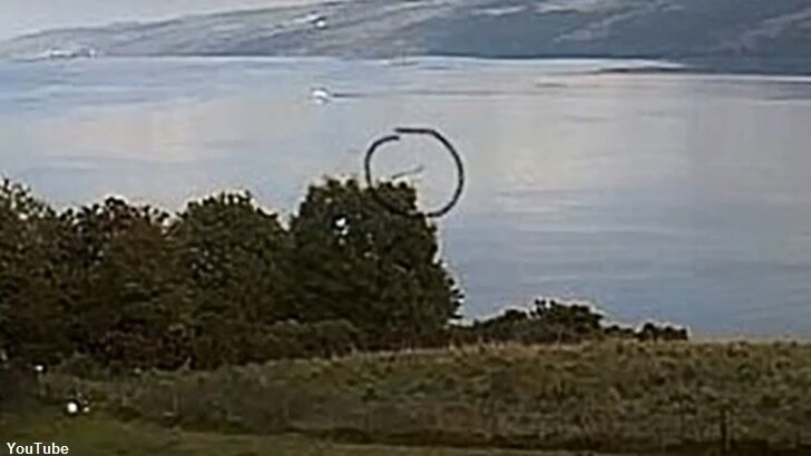 Nessie Spotted on Webcam by Viewer in America?