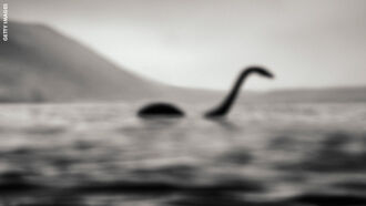 Magnetic Energy/ Living Dinosaurs