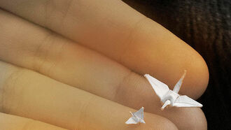 Tiny Origami Models