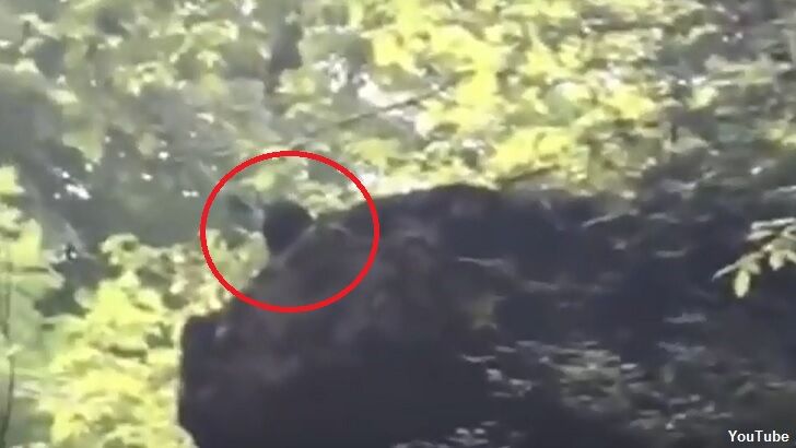 Watch: Bigfoot Caught Spying on Swimmers in Russia?
