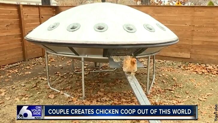 UFO Chicken Coop 'Lands' in Idaho