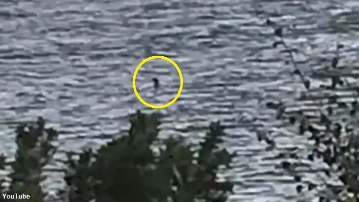 Schoolgirl's Nessie Photo Hailed as 'Best in Years'
