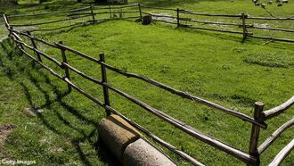 Diet & Environmental Issues / Mind Over Matter