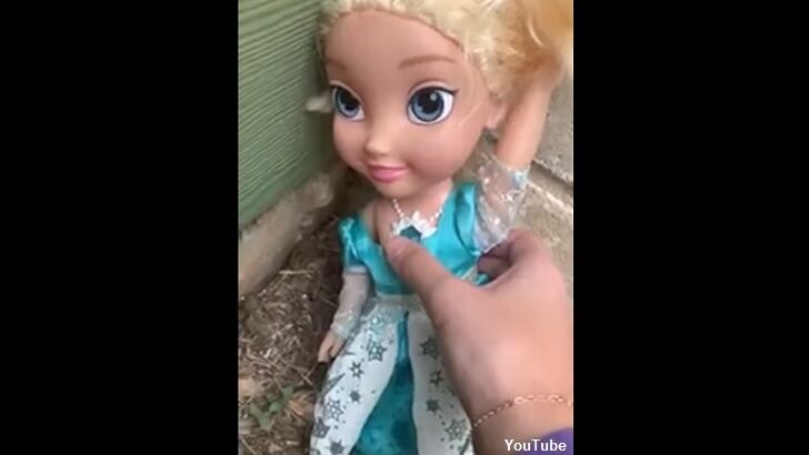 Spooky Elsa Doll 'Haunts' Houston Family