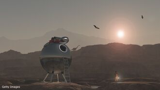 Time Travel Agent / Tarot Secrets