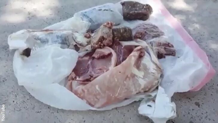 Meat Mystery Baffles Florida Family