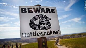 Proposed 'Rattlesnake Island' Causes Concern