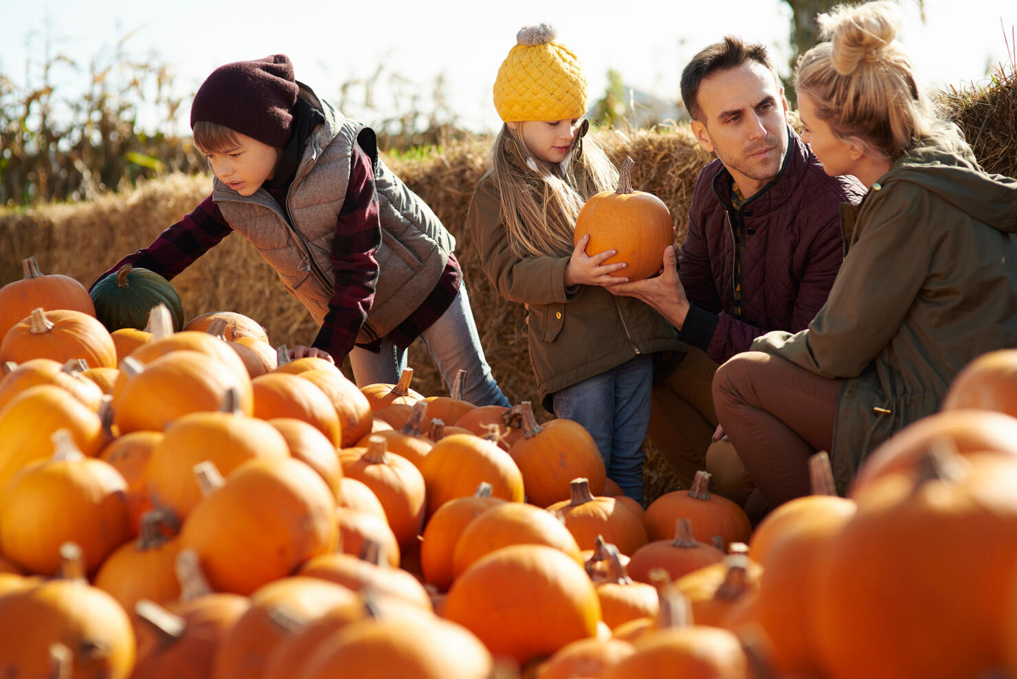 Couple with daughter and son selecting pumpkins in pumpkin patch field