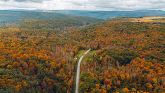 This Is The No. 1 'Must-Drive' Roadway In Illinois For A Scenic Road Trip