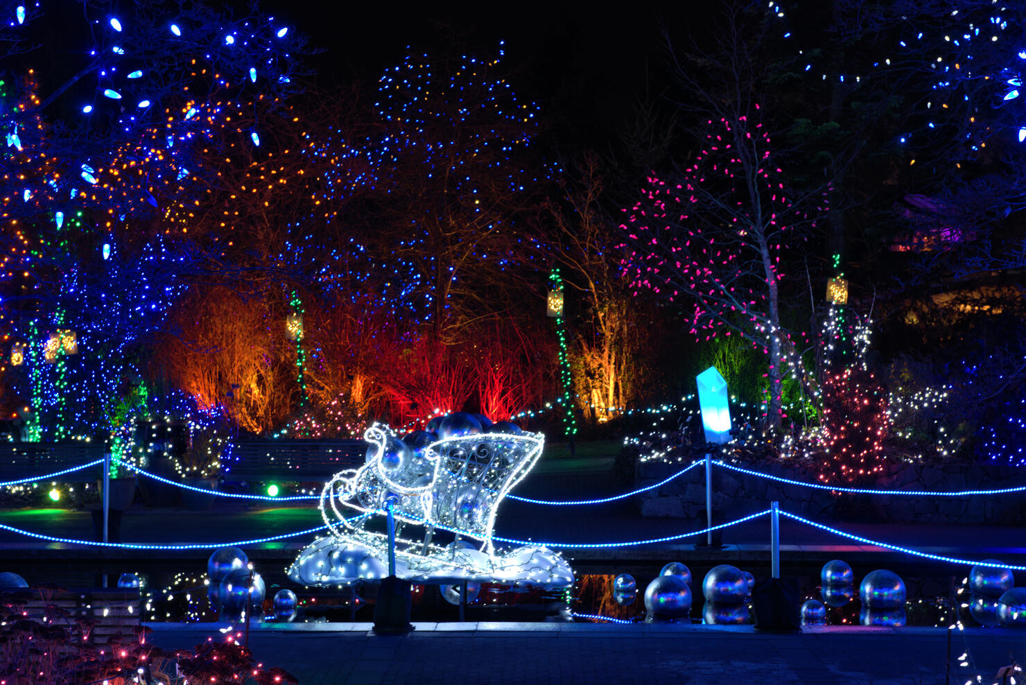 Christmas light festival in Canada