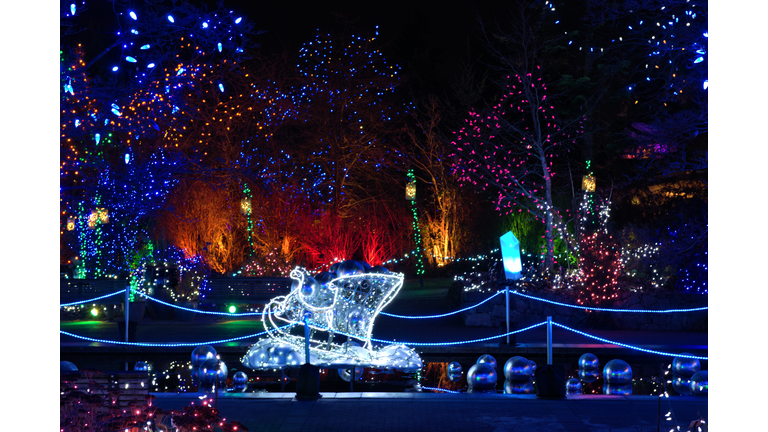Christmas light festival in Canada