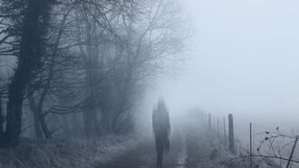 Gulf Disaster / Psychic Mediums