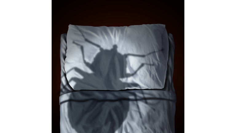 Bed Bug Fear