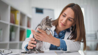 A Christmas Miracle At An Animal Hospital