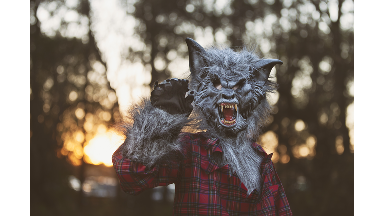 Manwolf & Creature Sightings