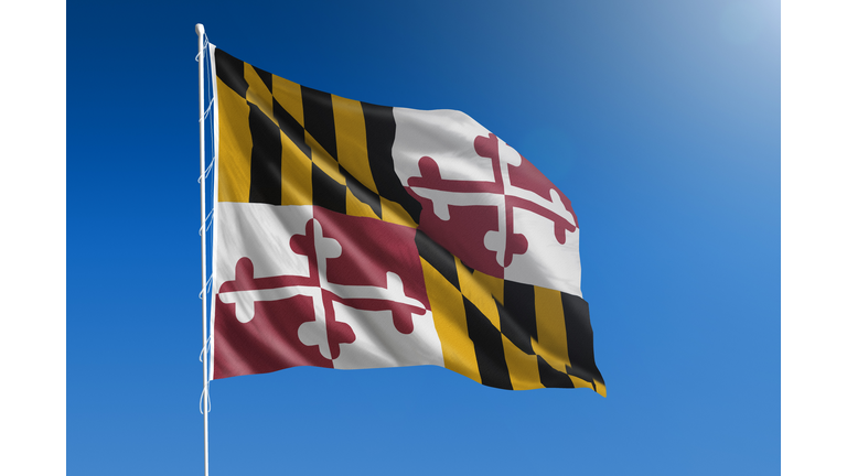 US state flag of Maryland