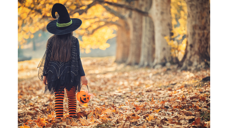 Little girl in witch costume having fun on Halloween trick or treat