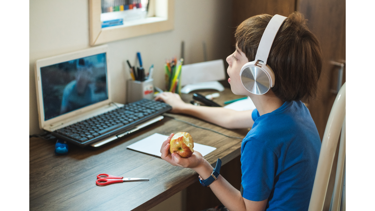 Boy surfing the net at home