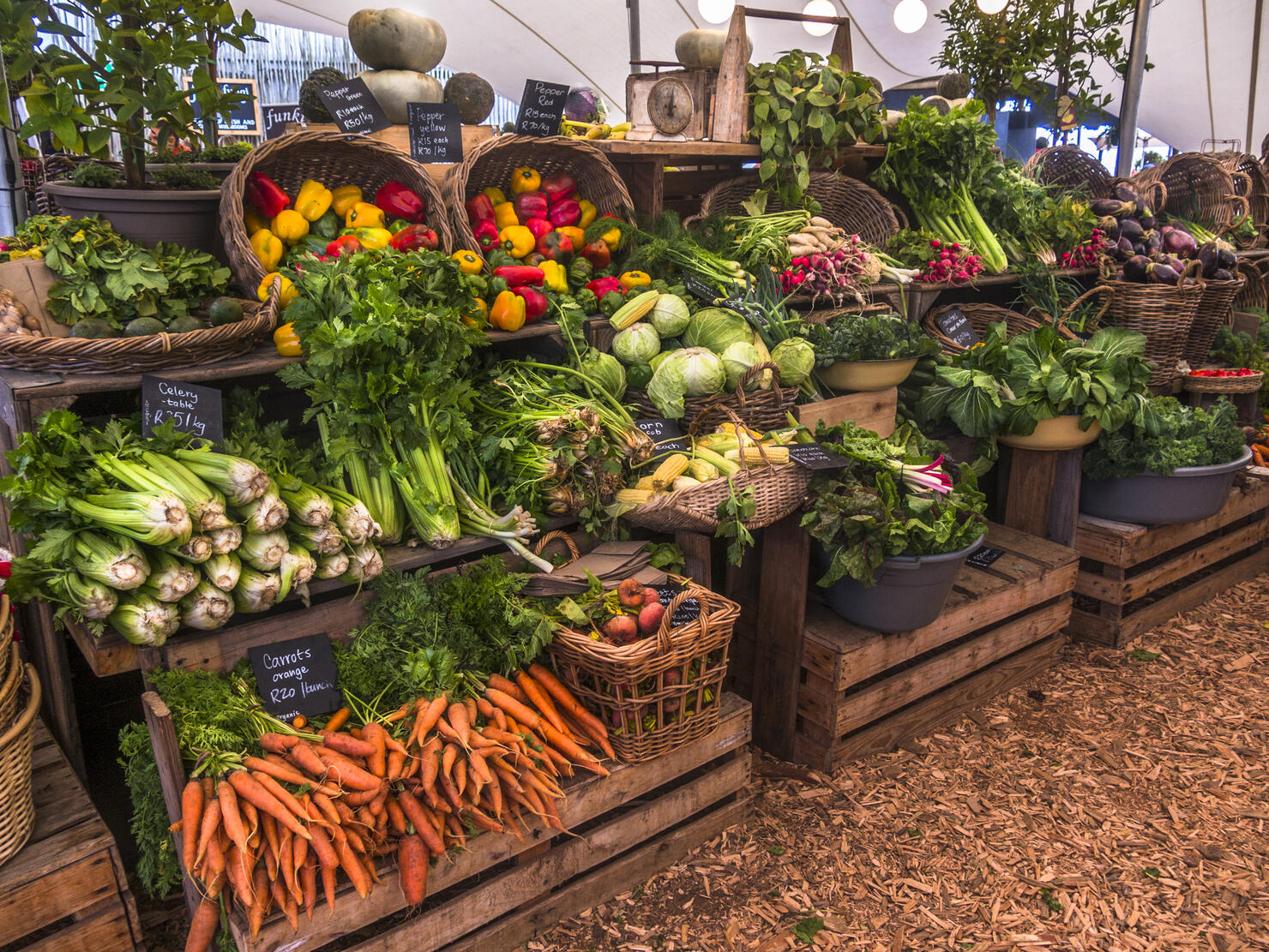 Fresh food market