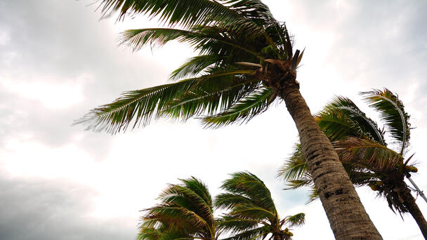 Forecasters Keep an Eye on the Sky as a System Develops off Florida's Coast