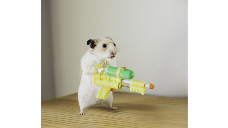 Hamster with a Watergun