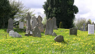 Si Ves Monedas En Una Lápida, No Las Toques