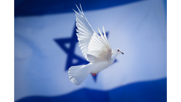 Israel flag with dove of peace