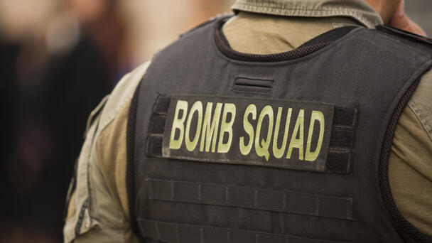 Ex-L.A. Deputy Mayor Admits to Fake Bomb Threat at City Hall