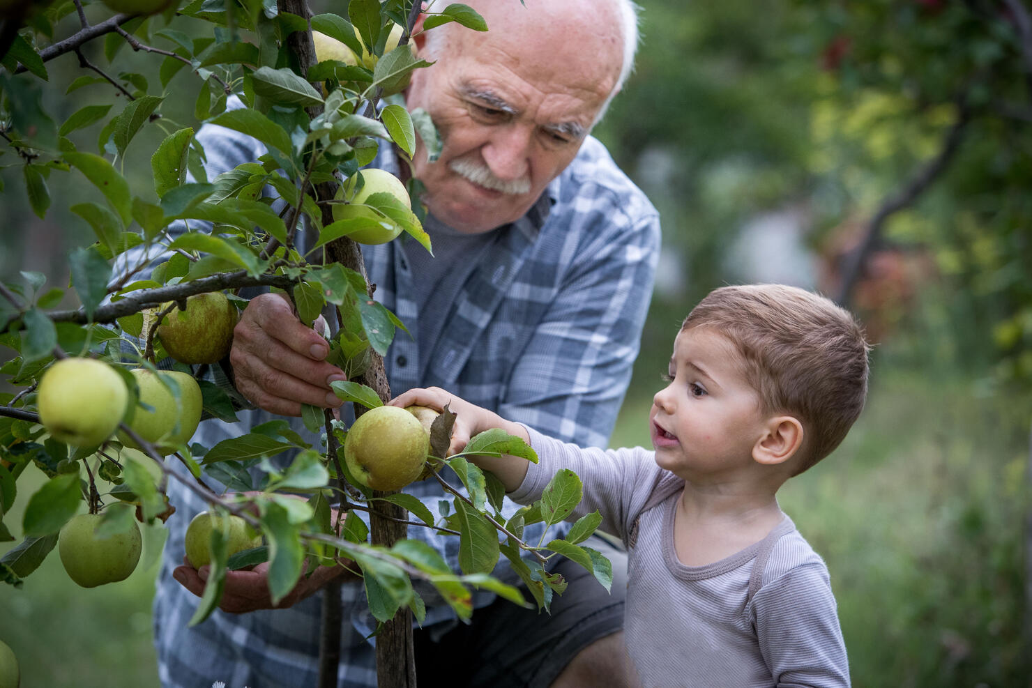 Grandfather and grandson