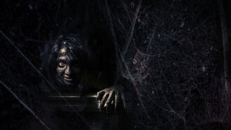 Exorcisms & Demonology