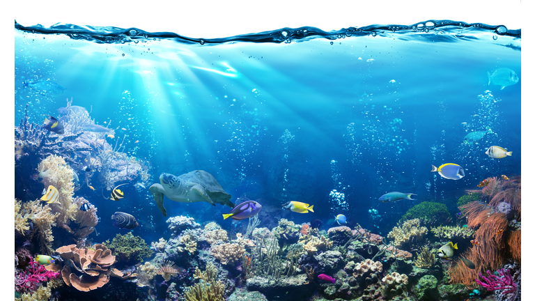 Underwater Scene With Reef And Tropical Fish