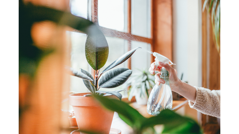 Woman watering houseplants