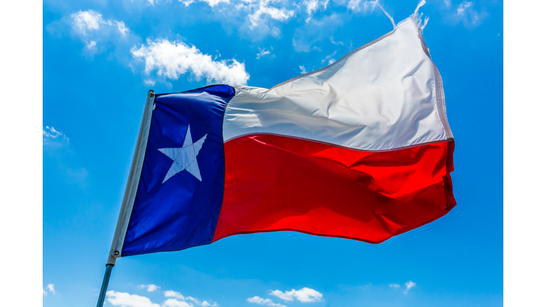 Texas State Flag