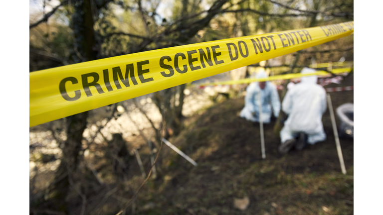 UK - Crime - Scene Investigators Searching Grave Site