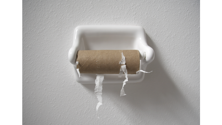 Empty Toilet Paper Rolls!